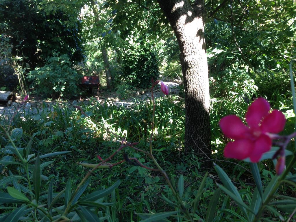 Cascina Folletto Villa Novi Ligure Buitenkant foto