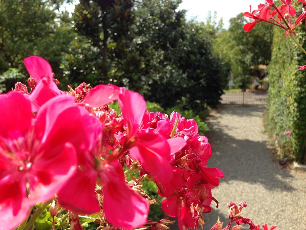 Cascina Folletto Villa Novi Ligure Buitenkant foto